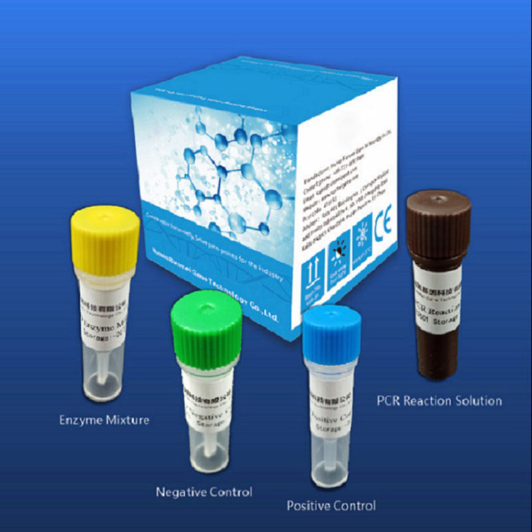 I kit di test diagnostici dei reagenti per Covid-2019 dipendono dalla piattaforma Pcr in tempo reale